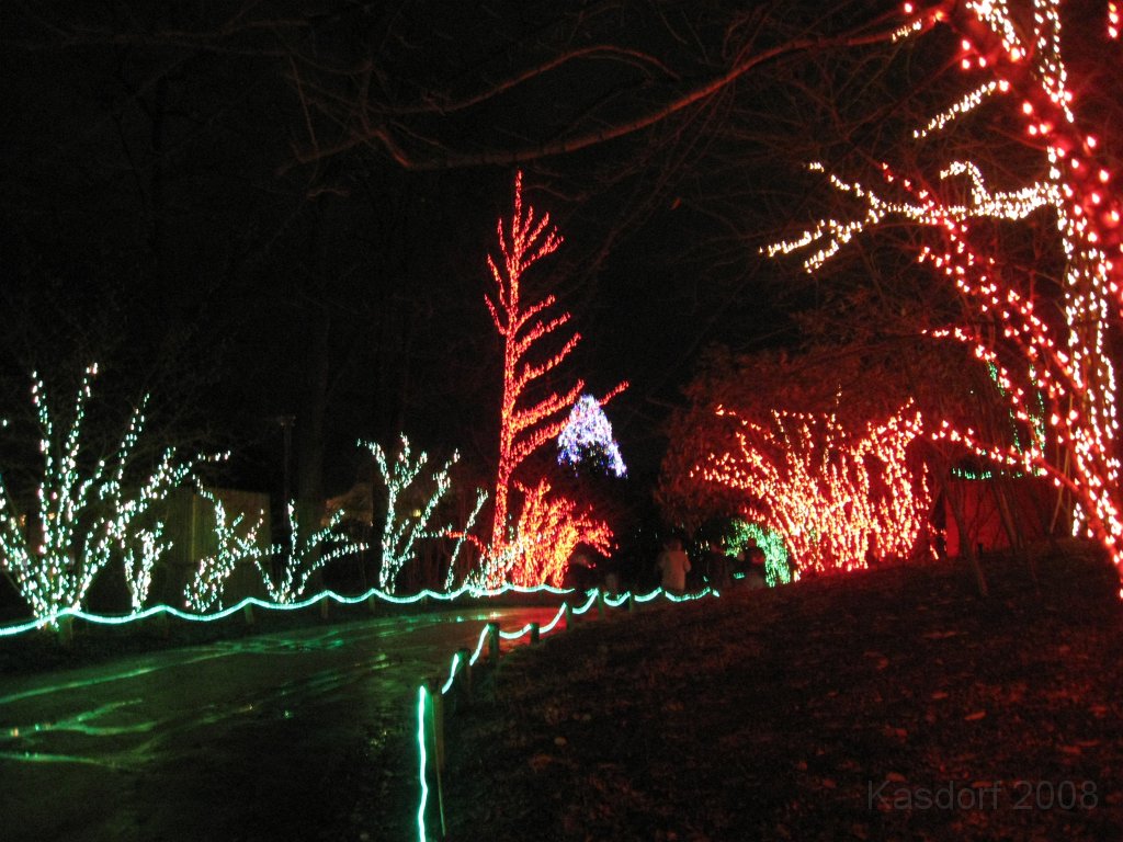 Toledo Zoo Lights 2008 052.jpg - The regular visit to the Toledo Ohio Zoo to see the Christmas Lights displays. New this trip were the "Dancing Lights", displays flashing in time with the Christmas Songs.